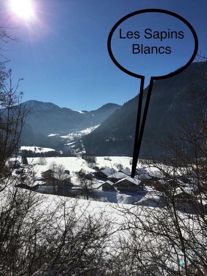 Les Sapins Blancs Apartment Vacheresse Екстериор снимка